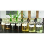 供应生物柴油图2